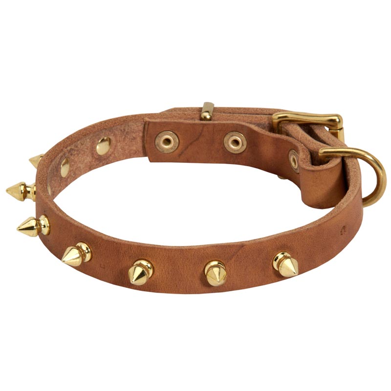 Walking Designer Leather Samoyed Collar with Brass Spikes