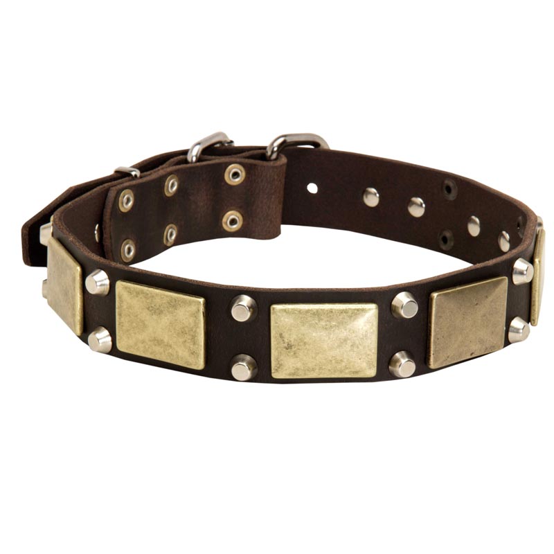 Leather Samoyed Collar with Studs and Plates