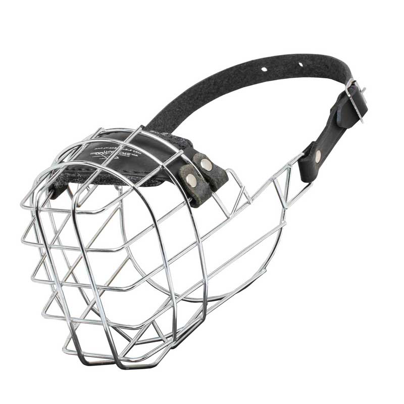 'The Silencer' Wire Cage Samoyed Muzzle With One Strap