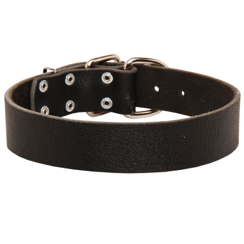 Wide Leather Samoyed Collar for Training and Walking