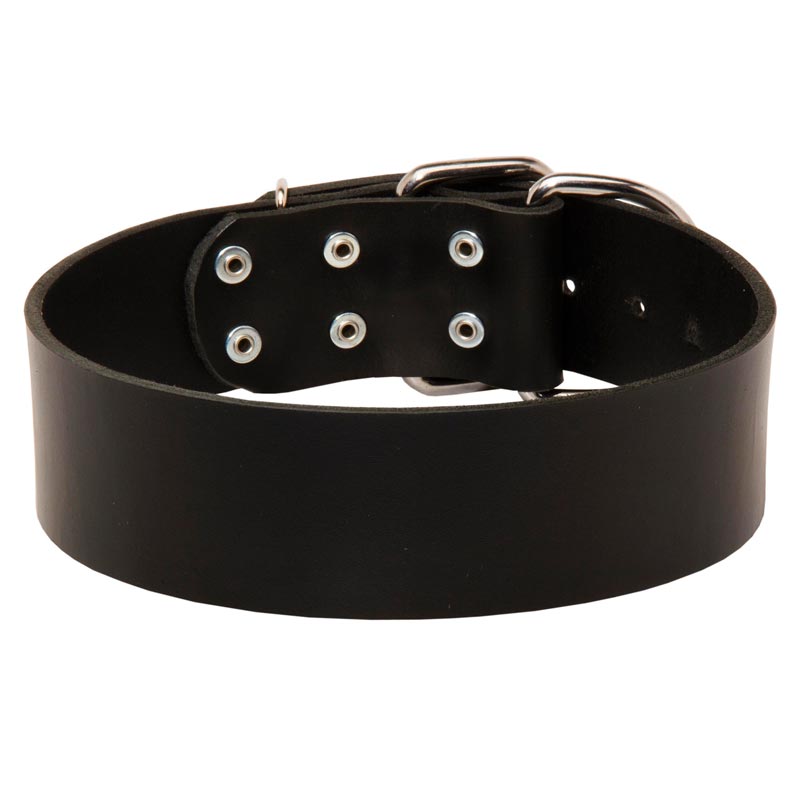 Extra Wide Leather Samoyed Collar for Professional Training