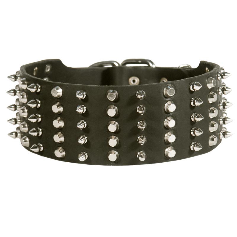 Samoyed Leather Collar Spiked and Studded