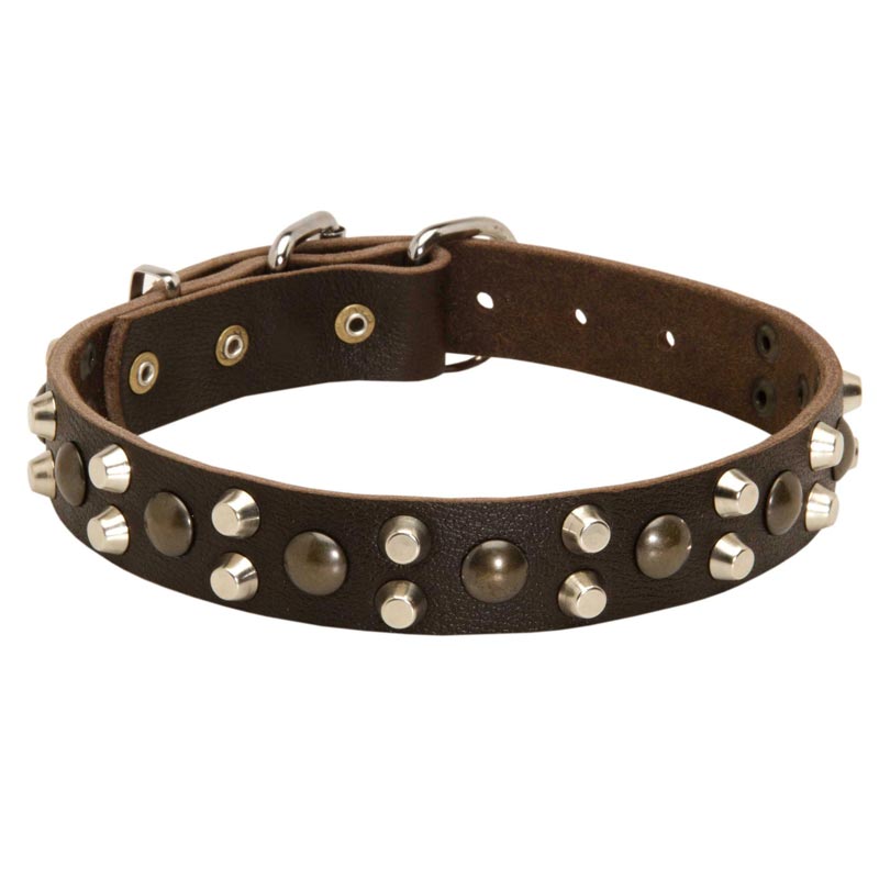 Leather Samoyed Collar With Studs and Pyramids