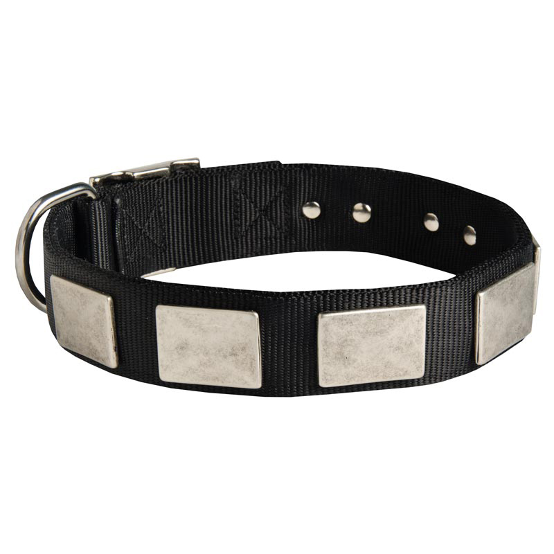 Nylon Samoyed Collar Massive Nickel Plates