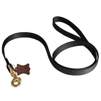 Walking Samoyed Leash
