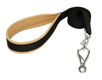 Samoyed Nylon Leash for Walking and Training