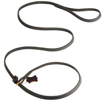 Best Choke Leather Samoyed Collar and Leash