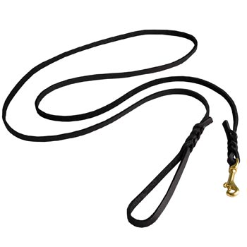 Best Walking Samoyed Leash Designer Supply for Walking in Style
