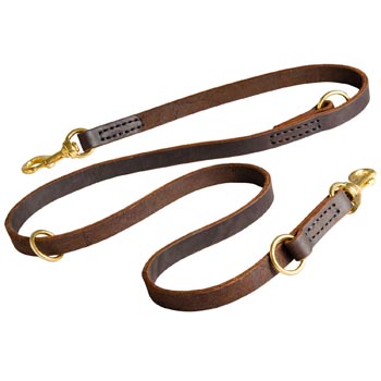 Leather Leash for Samoyed Everyday Walking