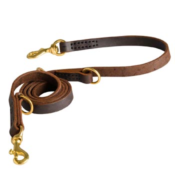 Strong Leather Leash for Samoyed Successful Training