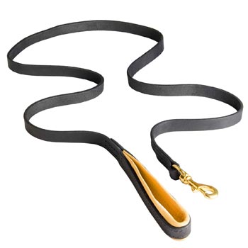 Padded Leather Leash for Samoyed Comfortable Walking