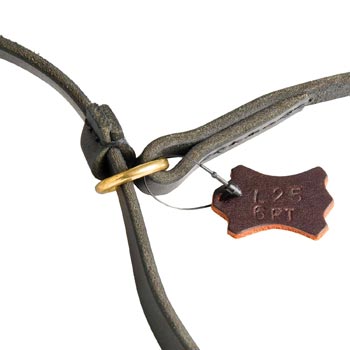 Durable Leash and Choke Collar Samoyed Equipment