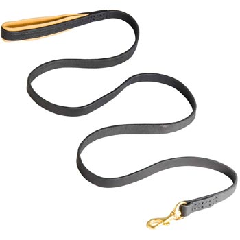 Padded Leather Samoyed Leash for Everyday Walking