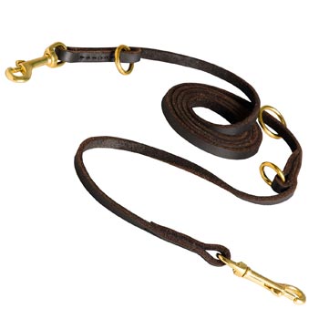 Multipurpose Samoyed Leather Leash for Effective Training