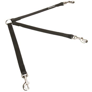 Samoyed Nylon Leash for Walking 3 Dogs with Comfort