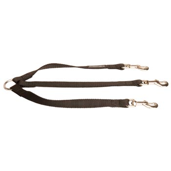 Triple Nylon Leash for Walking 3 Samoyed Dogs