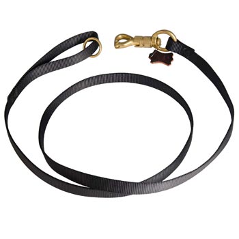 Training Samoyed Leash Nylon Equipped with Strong Snap Hook