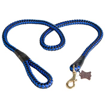 Samoyed Nylon Cord Leash