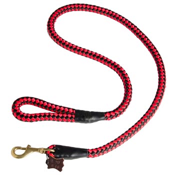 Samoyed Red Nylon Leash for Walking and Training