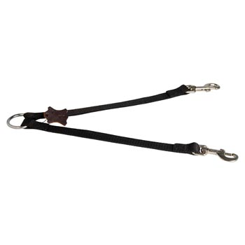 Samoyed Nylon Leash for Walking 2 Dogs with Comfort