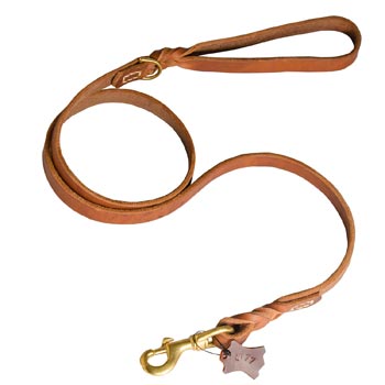 Training Leather Samoyed Leash with Handle