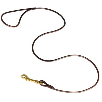 Leather Canine Leash for Samoyed Presentation at Dog Shows