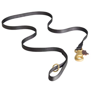 All Weather Nylon Leash for Samoyed Tracking and Training
