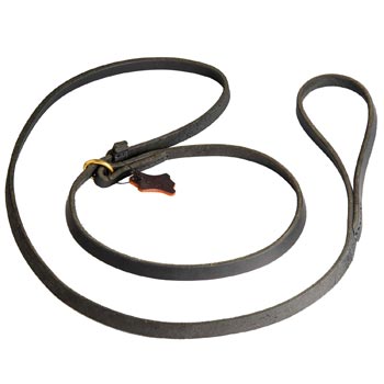 Leash and Collar Combo for Samoyed Walking and Training