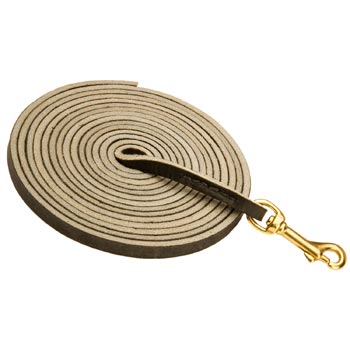 Training Leather Samoyed Leash