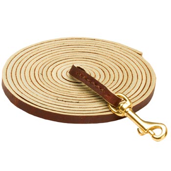 Tracking Brown Leather Samoyed Leash