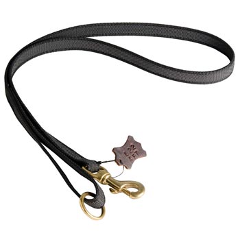 All Weather Nylon Leash for Samoyed Walking