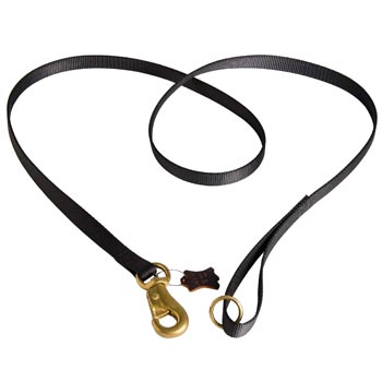 Dog Leash Nylon for Samoyed Everyday Walking 