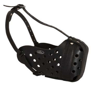 Training Leather Dog Muzzle for Samoyed