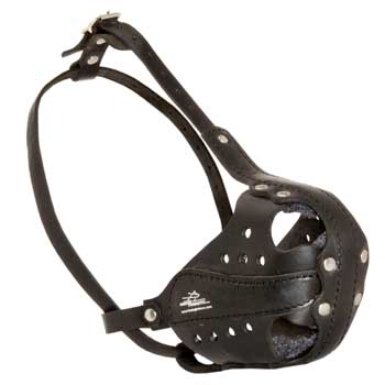 Samoyed Muzzle for Attack Training