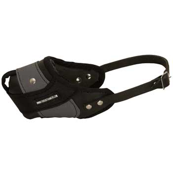 Samoyed Muzzle Leather and Nylon for Walking and Training