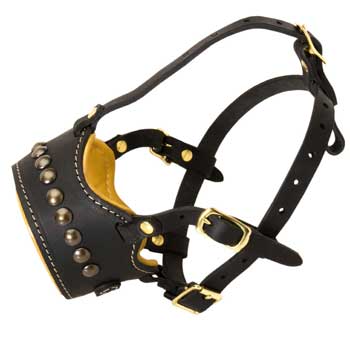 Padded Muzzle for Samoyed