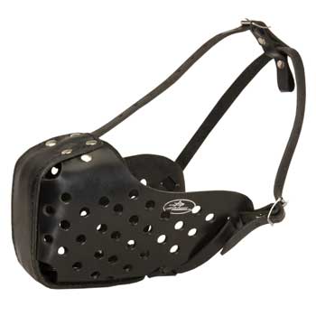 Samoyed Muzzle for Agitation Training