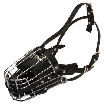 Metal Basket Samoyed Muzzle for Dog Walking Training