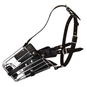 Full Padded Cage Dog Muzzle for Samoyed