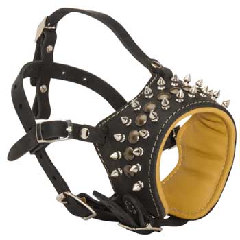 Walking Training Designer Black Dog Muzzle for Samoyed