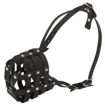 Leather Cage Samoyed Muzzle Padded