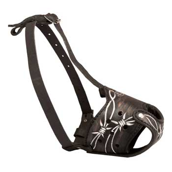 Training Muzzle for Samoyed