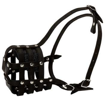 Samoyed Muzzle Leather Cage for Daily Walking