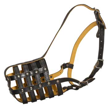 Adjustable Muzzle for Samoyed