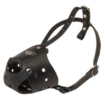 Light in Weight Anti-Barking Samoyed Muzzle