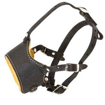 Leather Samoyed Muzzle for No Bark Training Walking