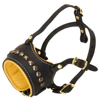 Samoyed Muzzle for Walking