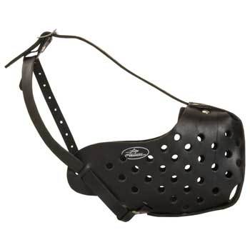 Safe Leather Muzzle for Samoyed Walking