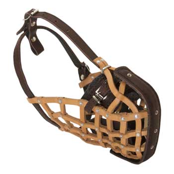 Samoyed Muzzle Leather Mesh for Walking and Training