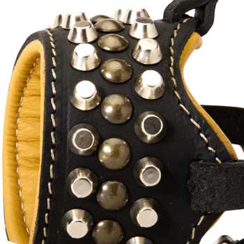 Nappa Leather Padded Samoyed for Dog Walking